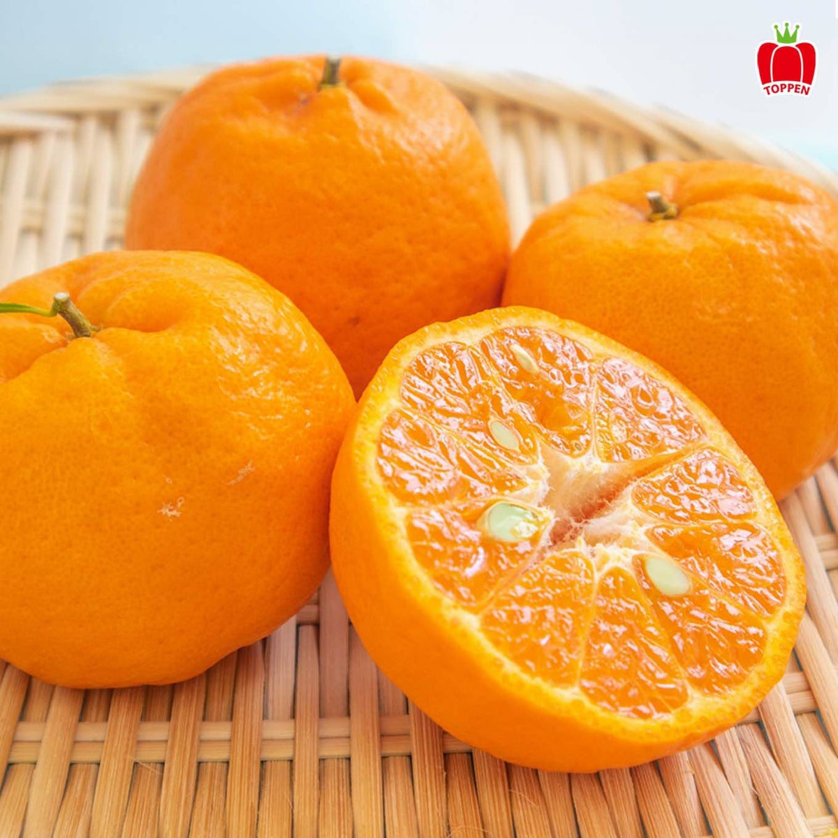 熊本県産 完熟ぽんかん 約３kg（20～35玉入）【送料無料】