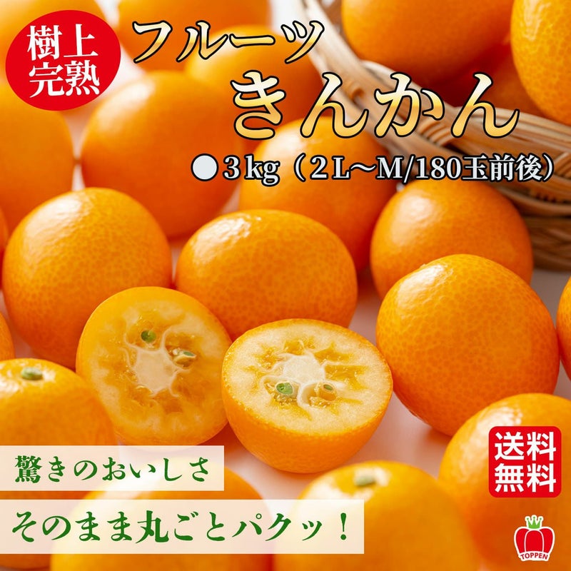 樹上完熟 フルーツきんかん ３kg(２L～M)