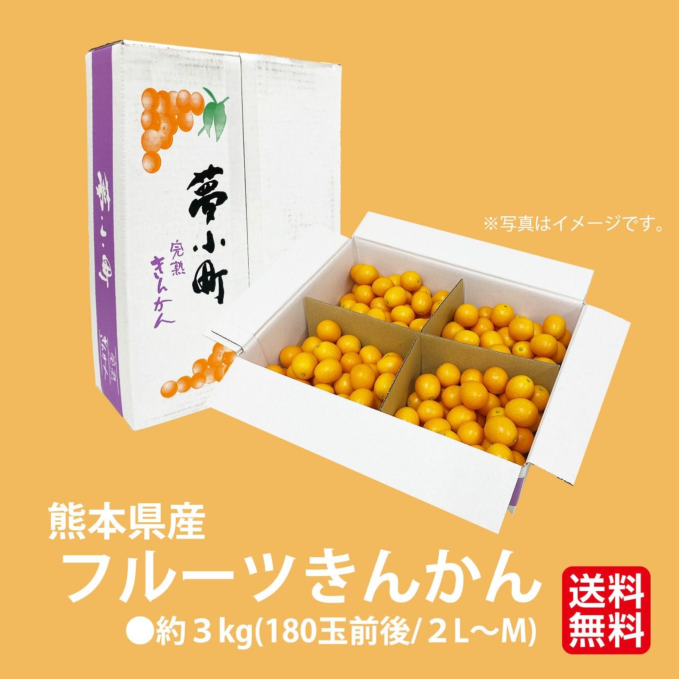 樹上完熟 フルーツきんかん 3kg(2L～M／180玉前後) - とっぺん市場