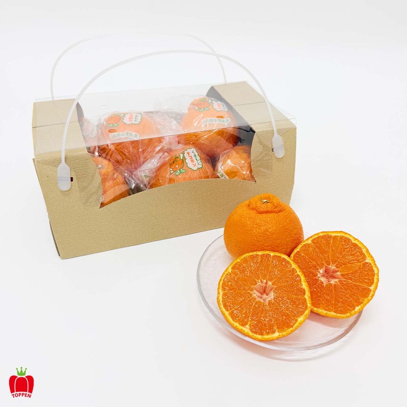熊本みかんギフトBOX　[ 向日葵 - himawari - ]【送料無料】