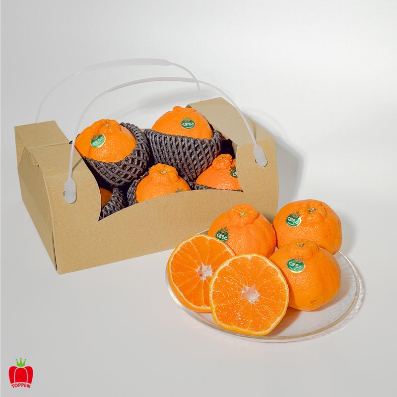 熊本みかんギフトBOX　[ 向日葵 - himawari - ]【送料無料】