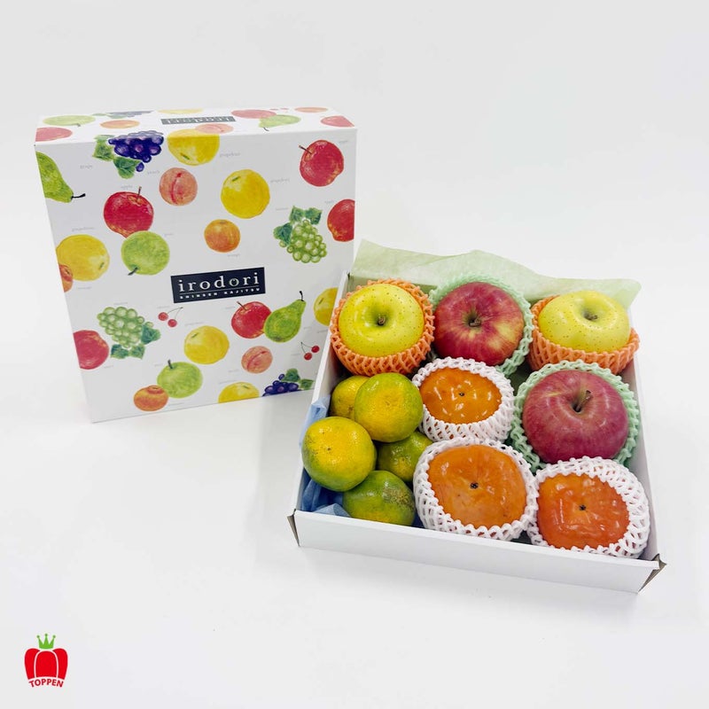  フルーツギフトBOX　[ 菫 - sumire - ]【送料無料】