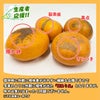 愛媛県産直　訳あり 甘平（かんぺい）2.5kg（１０玉前後）【送料無料】
