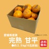 愛媛県産直　訳あり 甘平（かんぺい）2.5kg（１０玉前後）【送料無料】