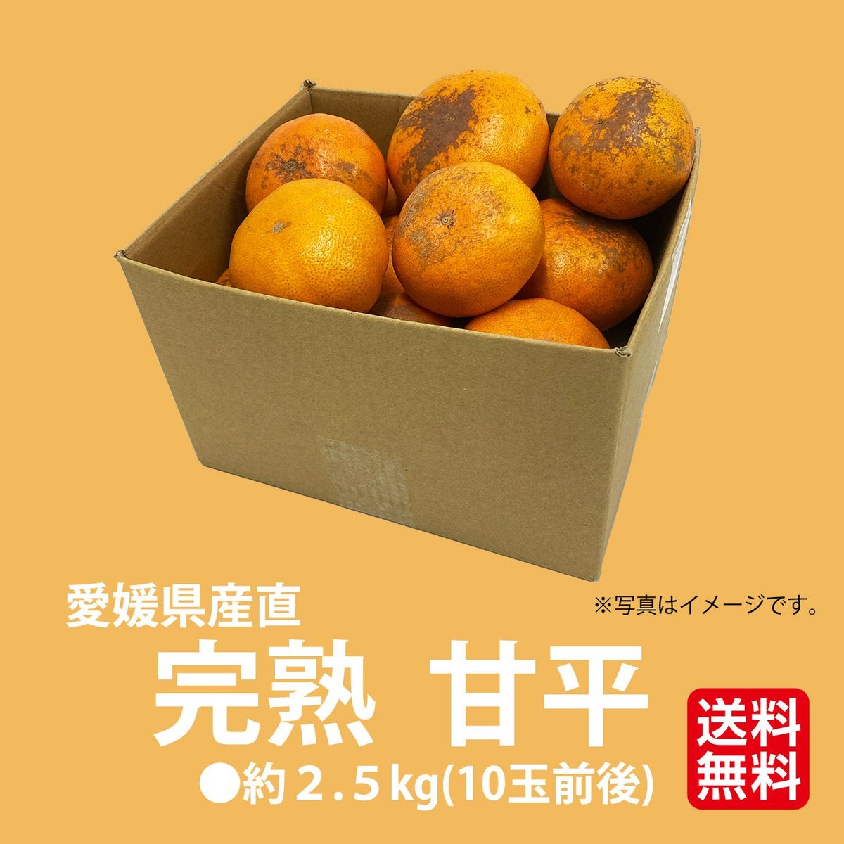 愛媛県産直　訳あり 甘平（かんぺい）2.5kg（１０玉前後）【送料無料】
