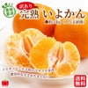 愛媛県産直　訳あり 完熟いよかん　５kg（１５玉前後）【送料無料】