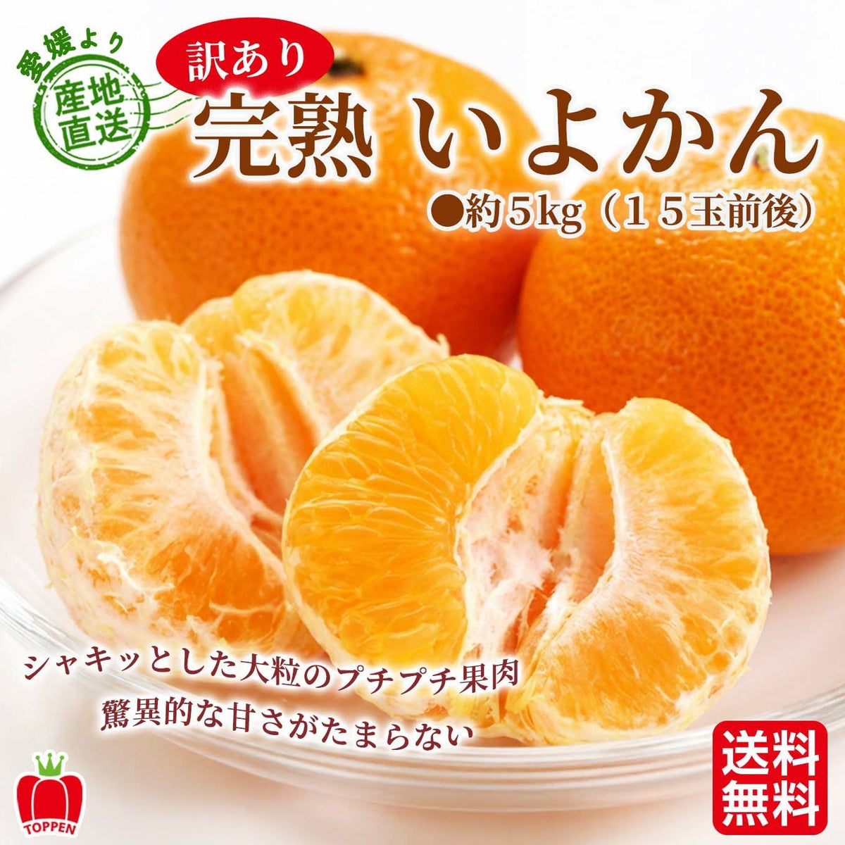 愛媛県産直　訳あり 完熟いよかん　５kg（１５玉前後）【送料無料】