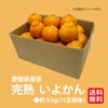 愛媛県産直　訳あり 完熟いよかん　５kg（１５玉前後）【送料無料】