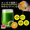 熊本の青果市場がつくった　とっぺん青汁（30日分／１箱30本入／単品）【送料無料】