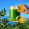 熊本の青果市場がつくった　とっぺん青汁（30日分／１箱30本入／単品）【送料無料】