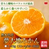 高糖度「夢大地みかん」２.５kg（15～20玉／２L～Lサイズ）【送料無料】