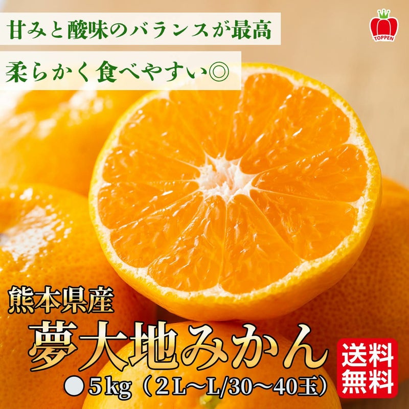 高糖度「夢大地みかん」５kg（30～40玉／２L～Lサイズ）【送料無料】