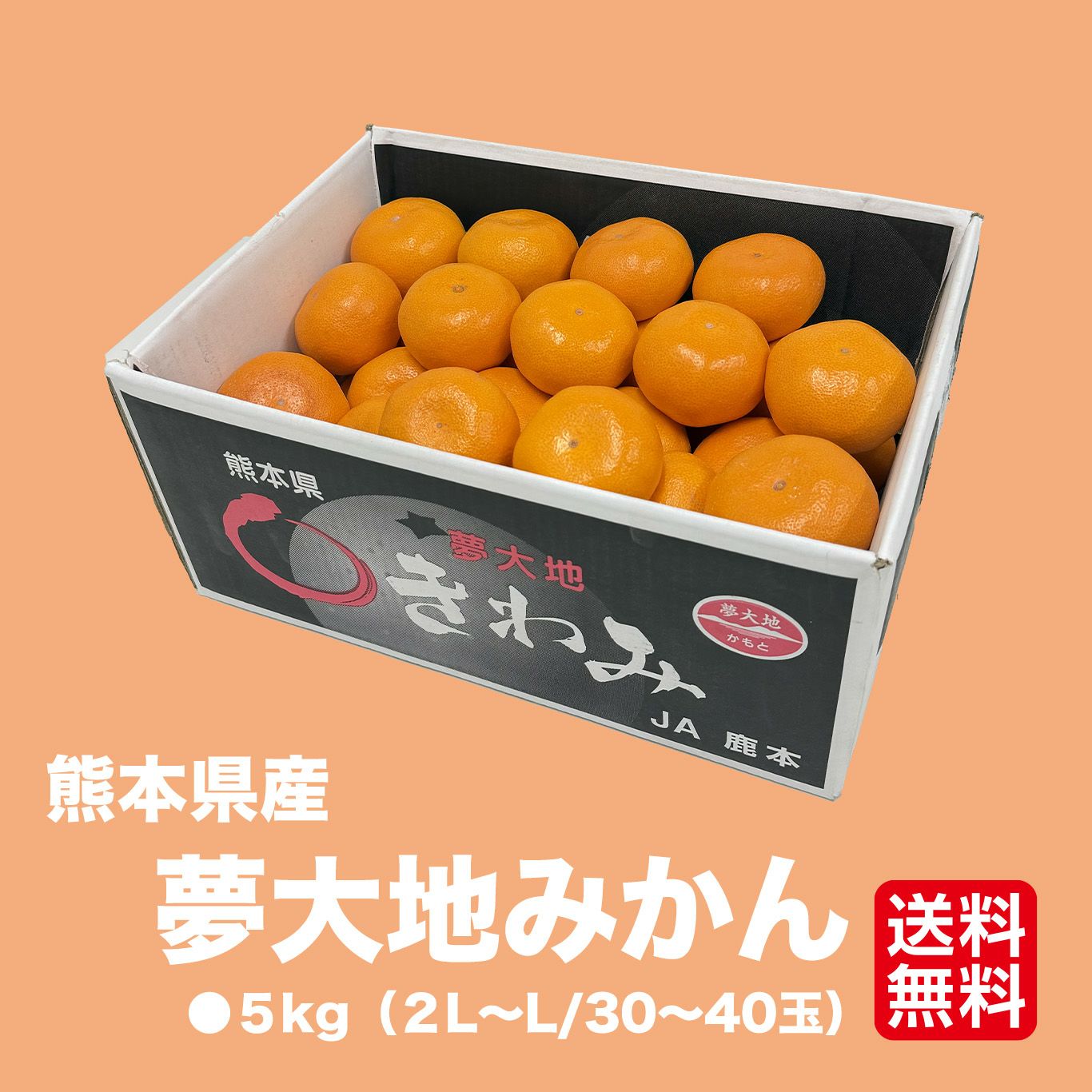 熊本県産 夢大地みかん 5kg（30～40玉／2L～Lサイズ）【送料無料