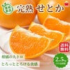 愛媛県産直　完熟 せとか 2.5kg（15玉前後）【送料無料】