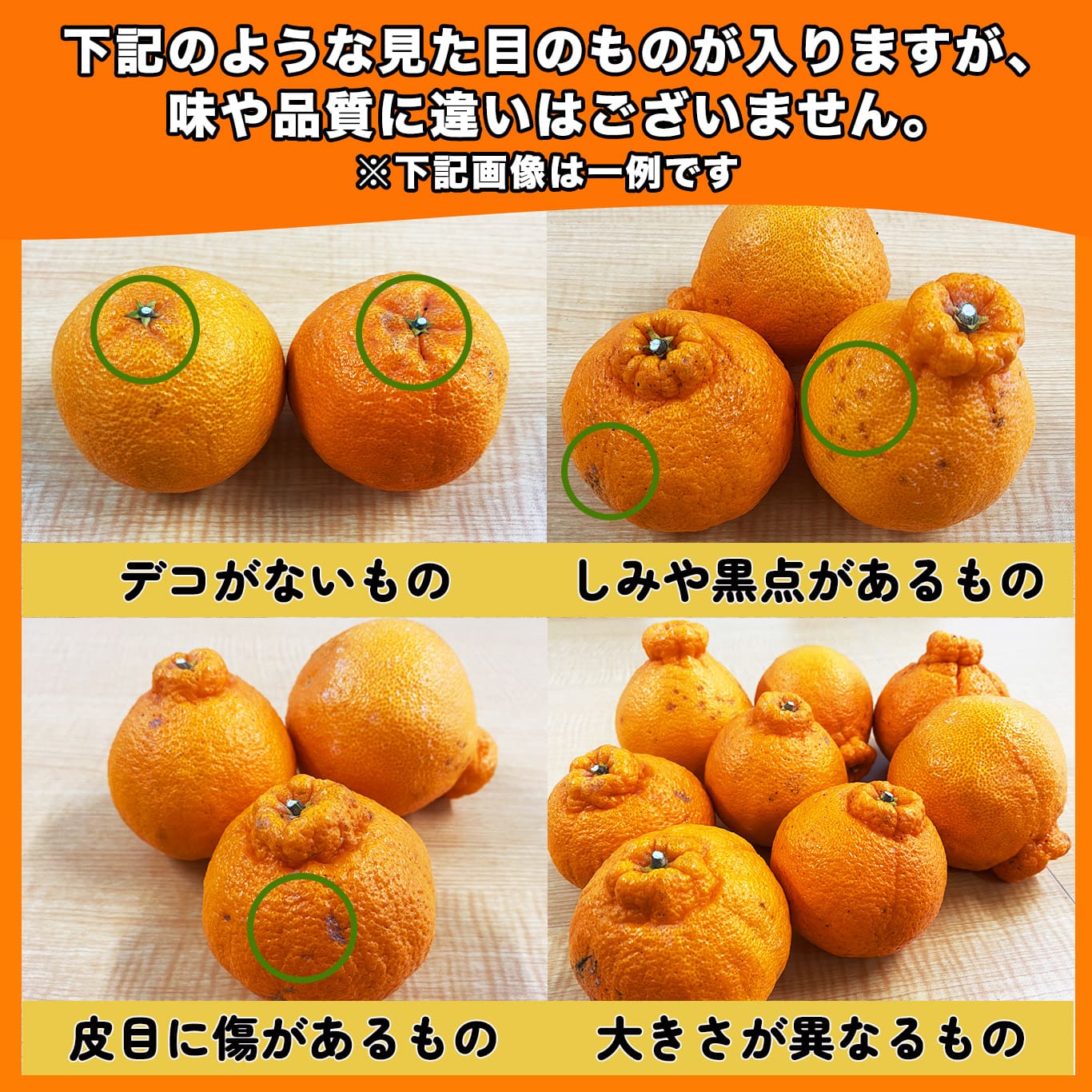 訳あり】蔵熟不知火おでこ 約2kg(6~12玉入/大小混合)※同住所に同 訳あり】蔵熟不知火おでこ 約2kg(6~12玉入/大小混合)※同住所に同