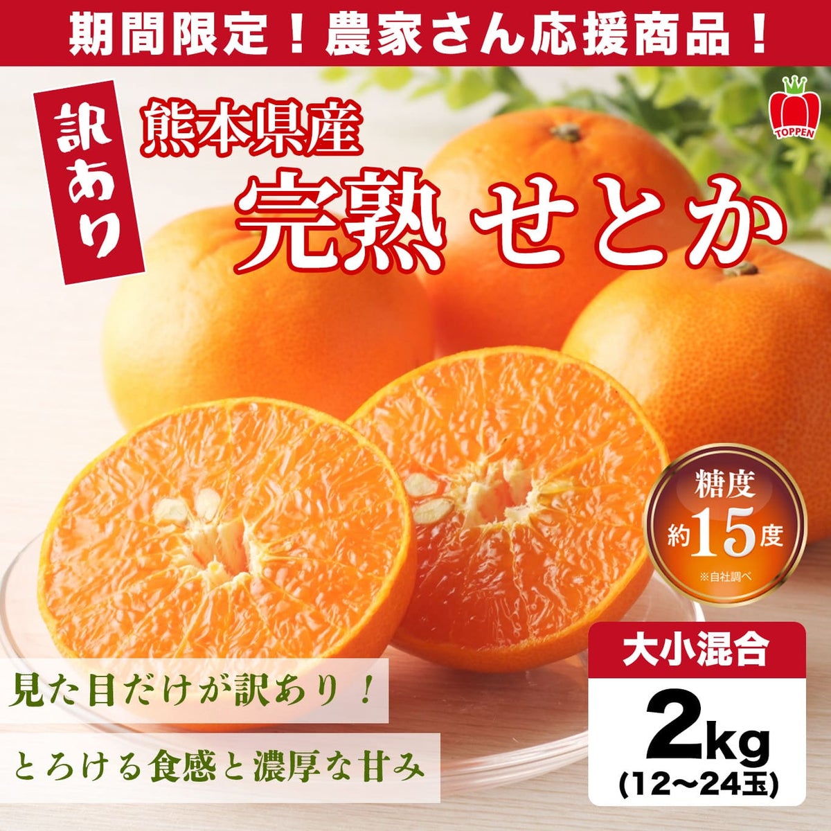 【訳あり】熊本県産 完熟 せとか 約2kg（12～24玉入/大小混合）※同住所に同商品２箱以上で送料無料！
