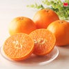 【訳あり】熊本県産 完熟 せとか 約2kg（12～24玉入/大小混合）※同住所に同商品２箱以上で送料無料！