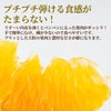 こだわり完熟　葉付きデコポン　約5kg（20玉）【送料無料】