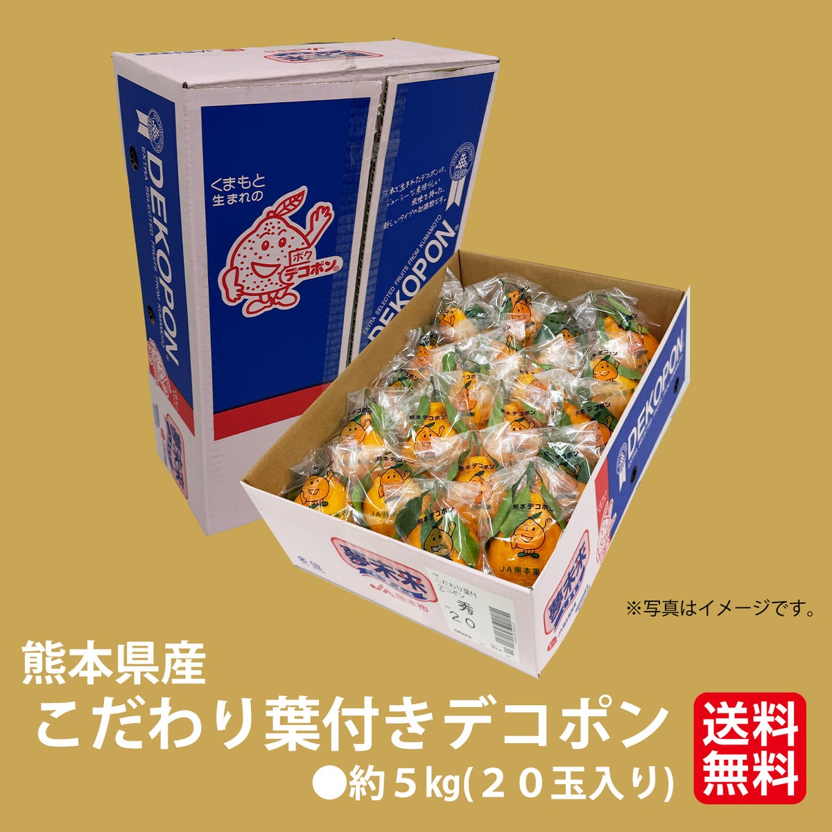 こだわり完熟　葉付きデコポン　約5kg（20玉）【送料無料】
