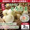 【訳あり】熊本県産 新たまねぎ「とろたま」２kg（10〜20玉前後）【送料無料】