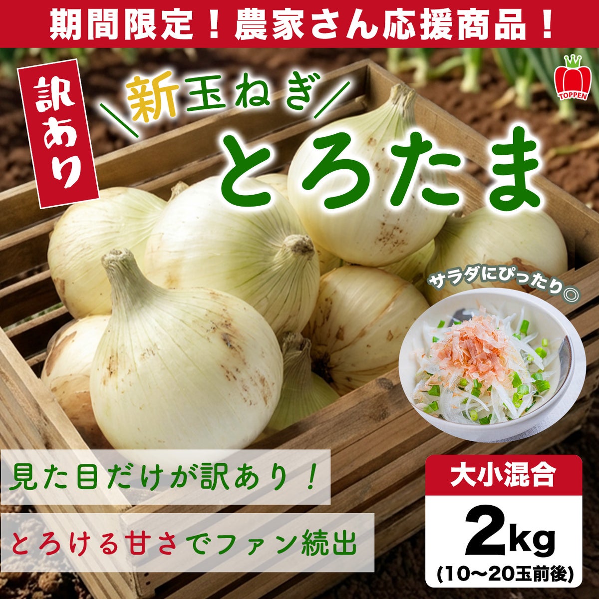 【訳あり】熊本県産 新たまねぎ「とろたま」２kg（10〜20玉前後）【送料無料】