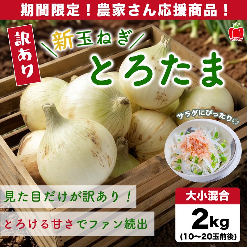 【訳あり】熊本県産 新たまねぎ「とろたま」２kg（10〜20玉前後）【送料無料】