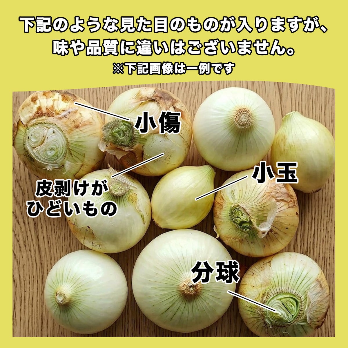 【訳あり】熊本県産 新たまねぎ「とろたま」２kg（10〜20玉前後）【送料無料】