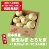 【訳あり】熊本県産 新たまねぎ「とろたま」２kg（10〜20玉前後）【送料無料】