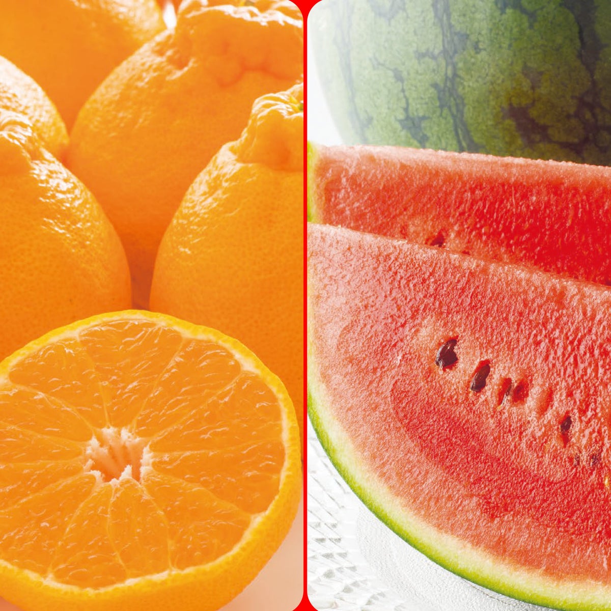 どちらも食べたい！小玉すいか＆蔵出しデコポンセット【送料無料】