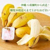 沖縄県産直！ぐしちゃん銀バナナ ２ｋｇ（12~20本前後）【送料無料】≪産地直送のため他の商品と同梱できません≫
