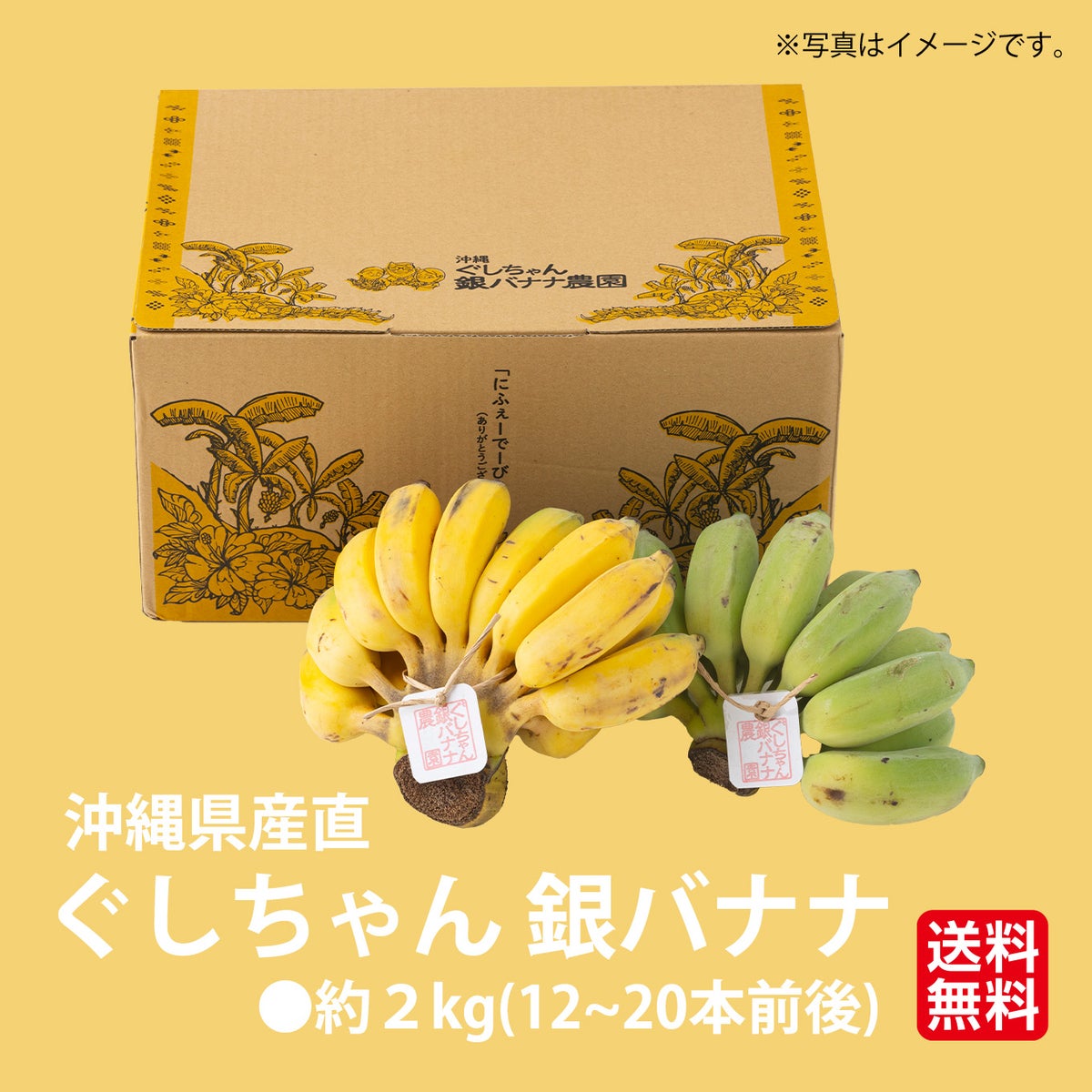 沖縄県産直！ぐしちゃん銀バナナ ２ｋｇ（12~20本前後）【送料無料】≪産地直送のため他の商品と同梱できません≫
