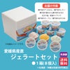 しまなみドルチェ　ジェラートセット　８個入り　【送料無料】≪冷凍便≫
