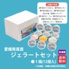 しまなみドルチェ　ジェラートセット　12個入り　【送料無料】≪冷凍便≫