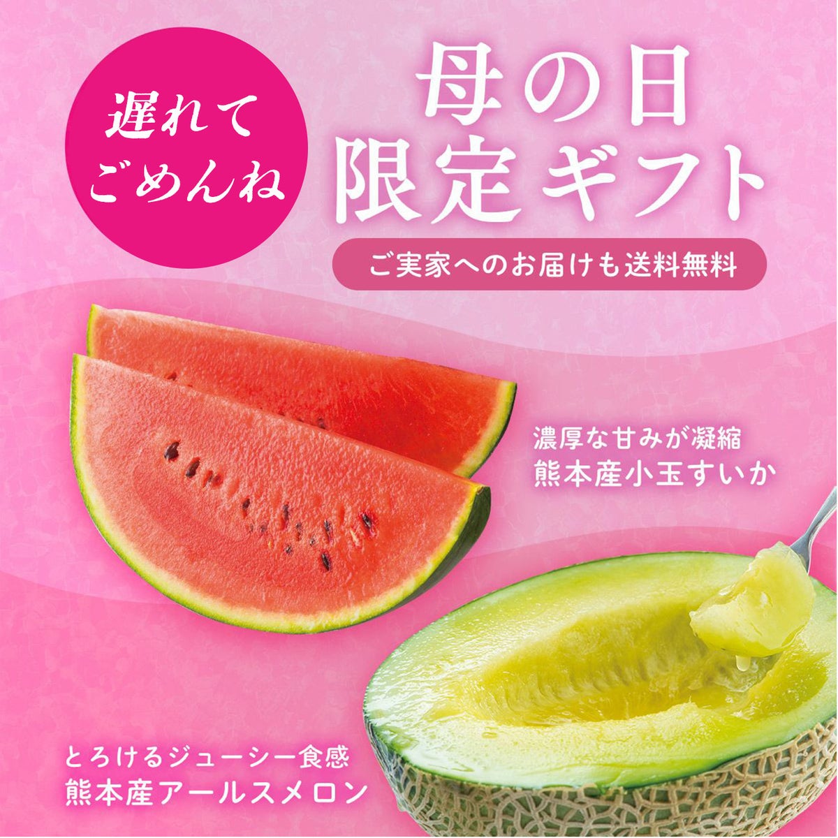 ≪２０２６年母の日遅れてごめんね≫ 小玉すいか＆アールスメロンセット【送料無料】