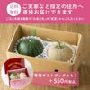 ≪２０２６年母の日遅れてごめんね≫ 小玉すいか＆アールスメロンセット【送料無料】