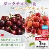 ダークチェリー&レーニアチェリー １kg(各500g)【送料無料】≪産地直送のため他の商品と同梱できません≫