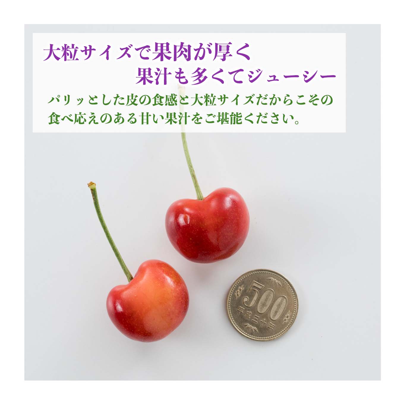 ダークチェリー&レーニアチェリー（アメリカンチェリー） 1kg(各500g