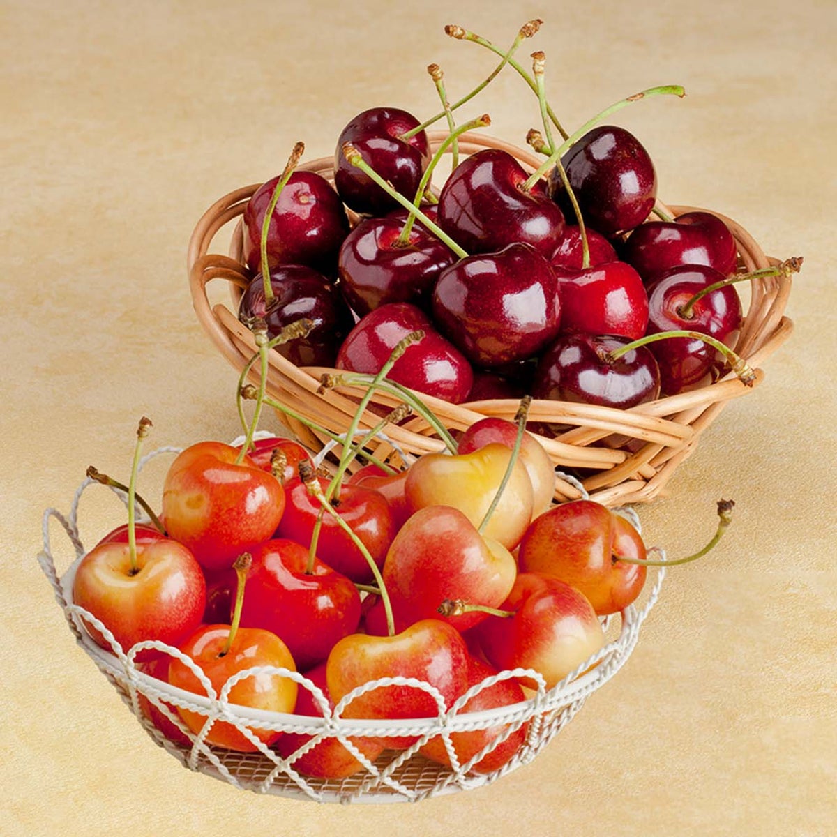 ダークチェリー&レーニアチェリー １kg(各500g)【送料無料】≪産地直送のため他の商品と同梱できません≫