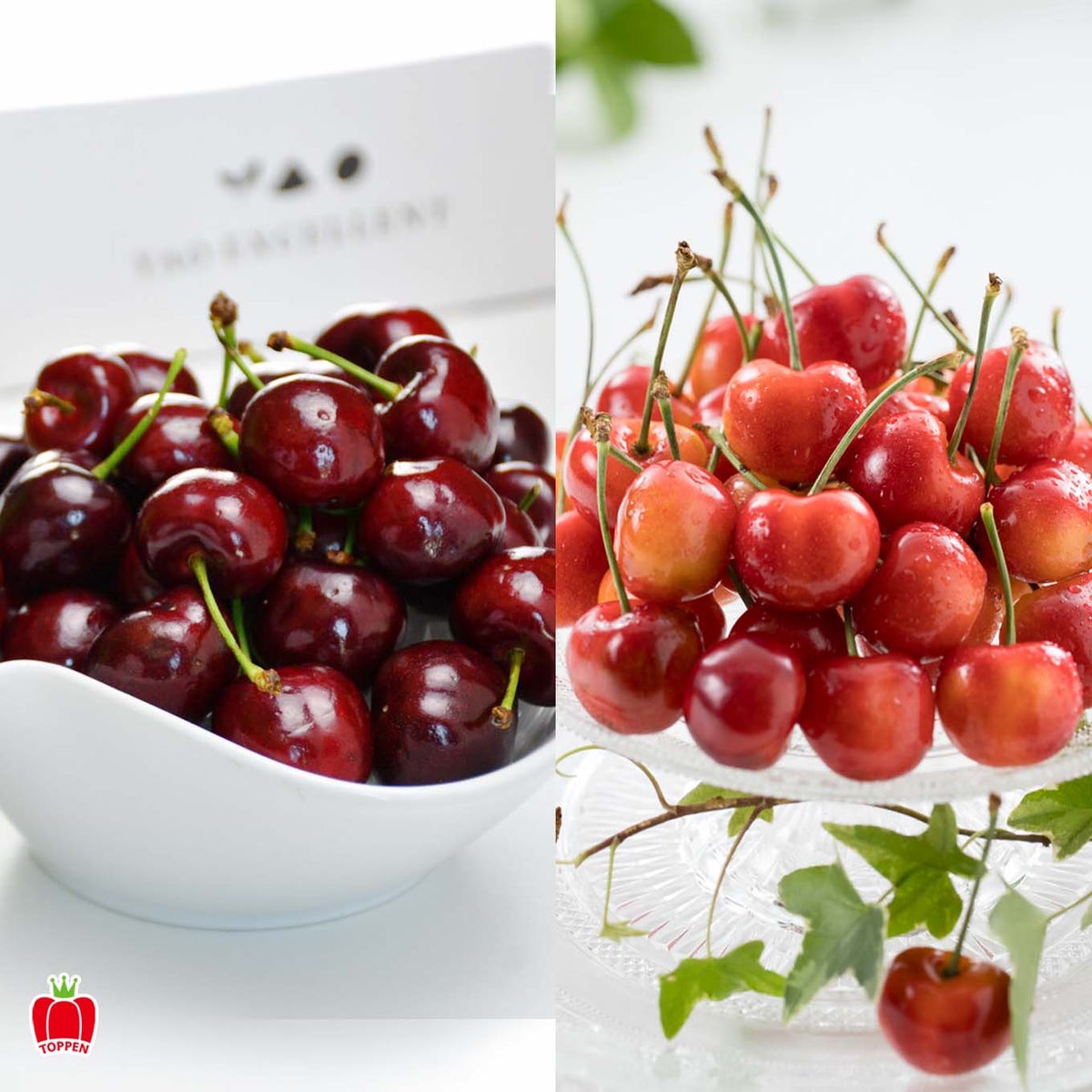 ダークチェリー&レーニアチェリー １kg(各500g)【送料無料】≪産地直送のため他の商品と同梱できません≫