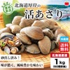  北海道産直！北海道厚岸産　活あさり　１ｋｇ（約60個）【送料無料】≪産地直送のため他の商品と同梱できません≫