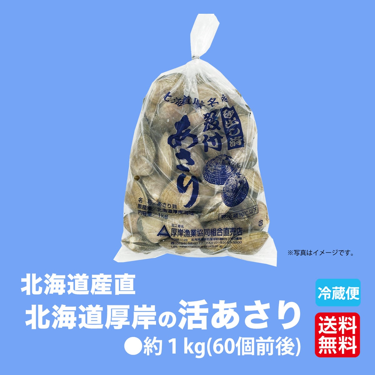  北海道産直！北海道厚岸産　活あさり　１ｋｇ（約60個）【送料無料】≪産地直送のため他の商品と同梱できません≫