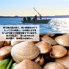 北海道産直！北海道厚岸産　活あさり　２ｋｇ（約120個）【送料無料】≪産地直送のため他の商品と同梱できません≫