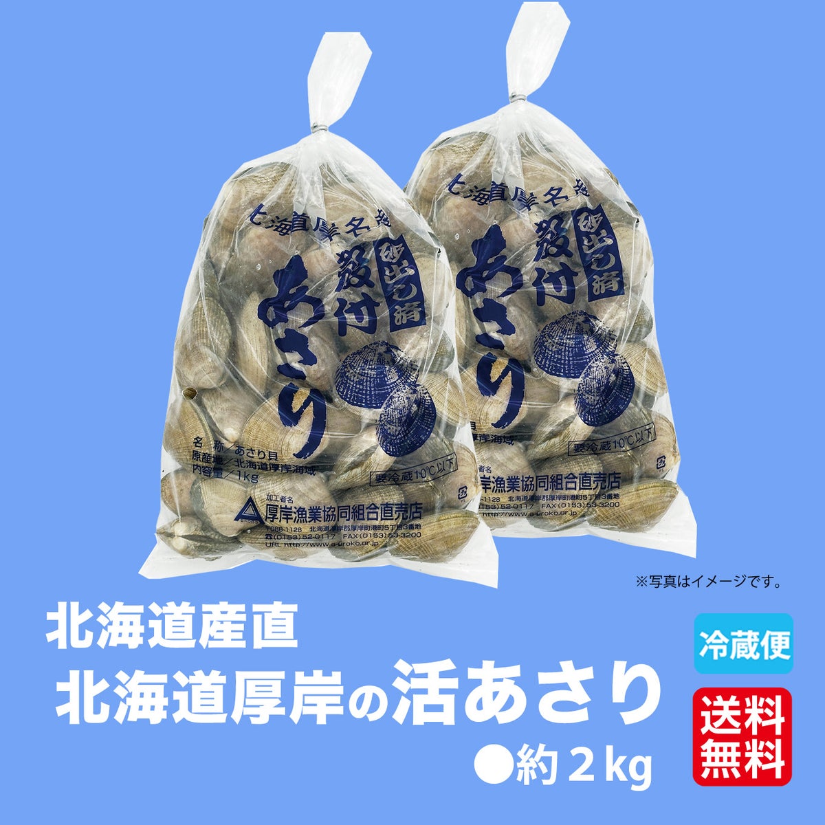 北海道産直！北海道厚岸産　活あさり　２ｋｇ（約120個）【送料無料】≪産地直送のため他の商品と同梱できません≫
