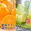  どちらも食べたい！肥後グリーンメロン＆蔵出しデコポンセット【送料無料】