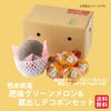  どちらも食べたい！肥後グリーンメロン＆蔵出しデコポンセット【送料無料】