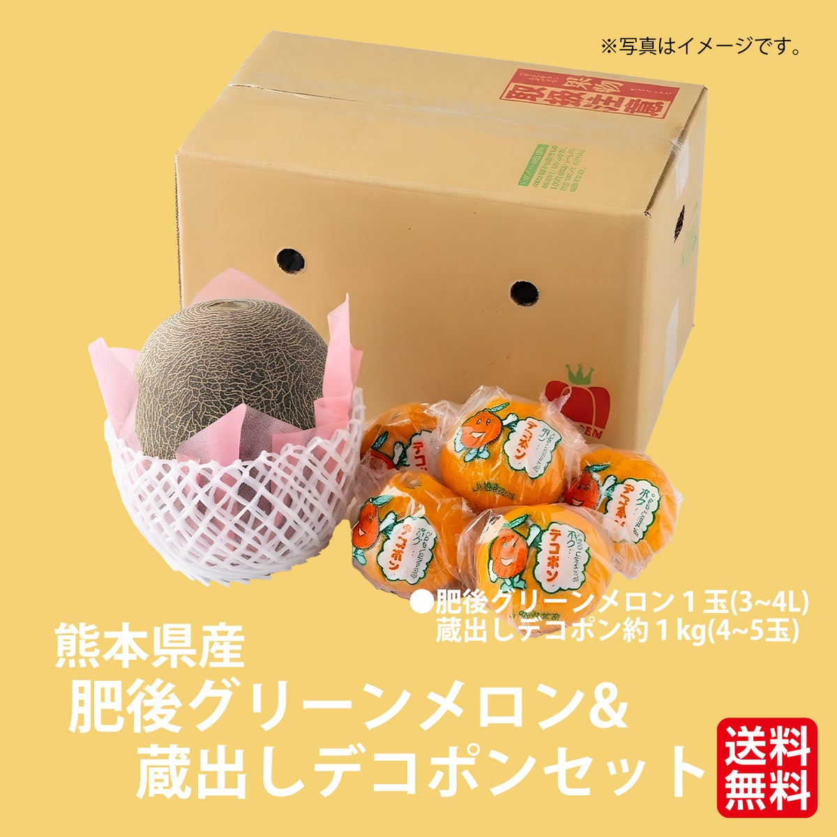  どちらも食べたい！肥後グリーンメロン＆蔵出しデコポンセット【送料無料】