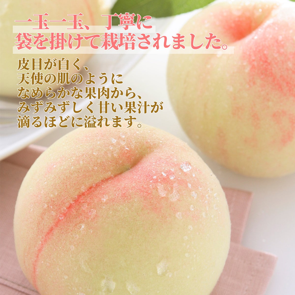  岡山県産　岡山白桃　約1kg（4～5玉入り）／ご家庭用【送料無料】
