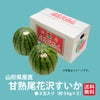 山形県産直　甘熟尾花沢すいか　２玉（１玉：約５kg）【送料無料】