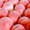 山梨県産直　完熟桃　約1.5kg（6玉入／化粧箱入）【送料無料】
