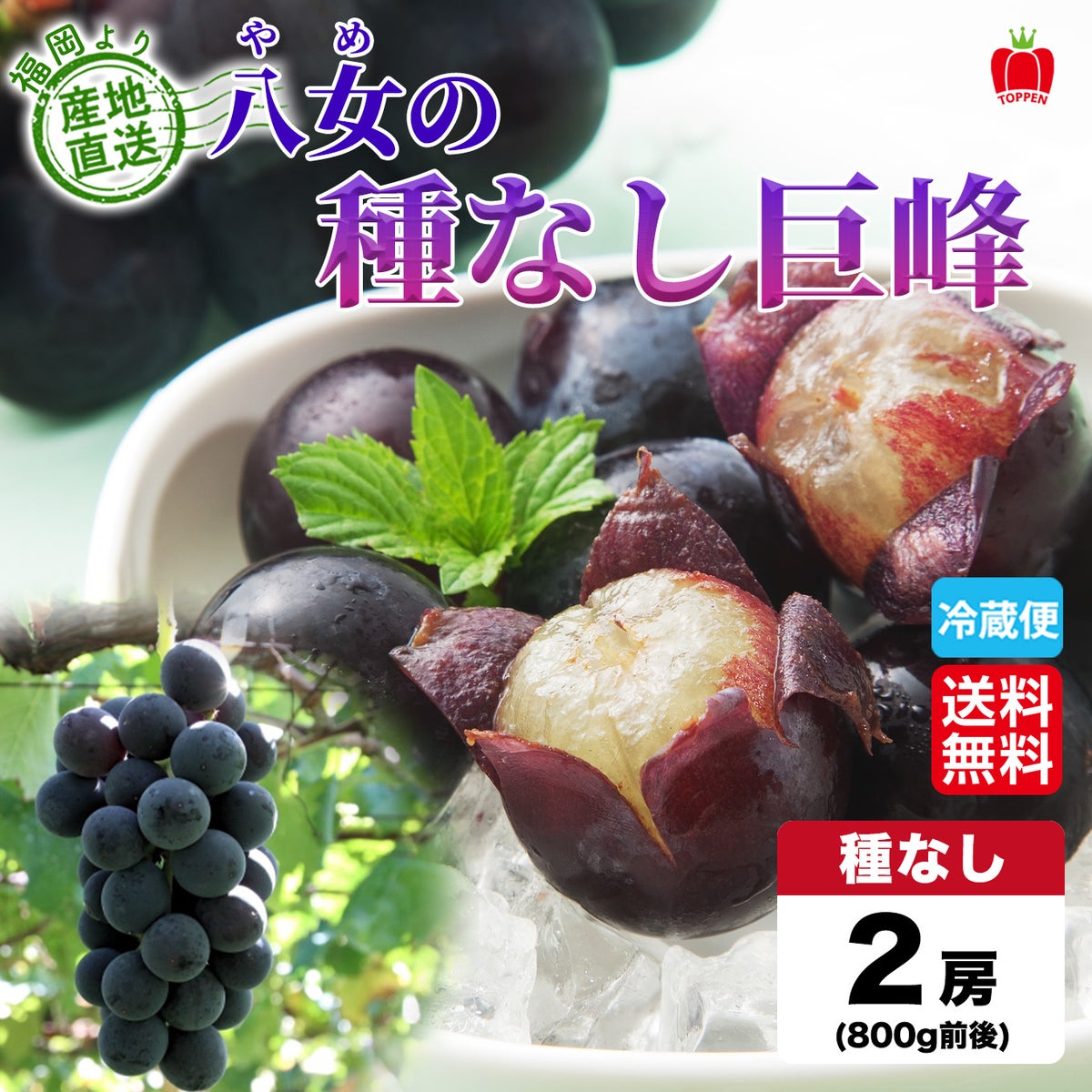 完熟　八女の種なし巨峰　２房（１房：400ｇ前後） 【送料無料】